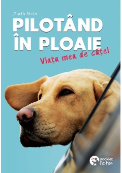 Pilotand in ploaie..